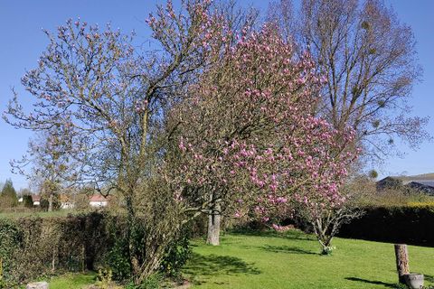 Farm hus i Wail, Pas-de-Calais, Wail - € 190.000 | Ref: AG58 - foto 11